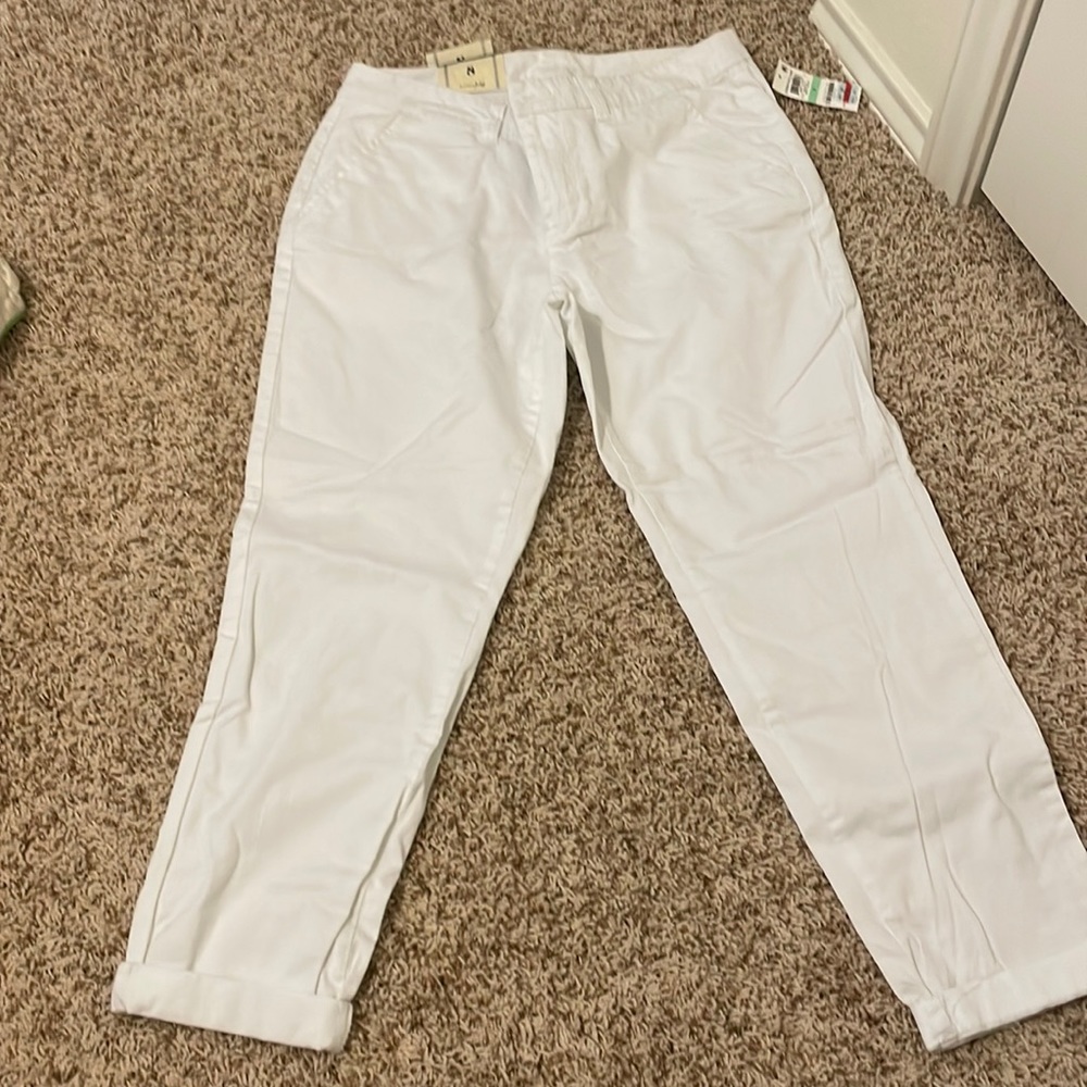 NWT Madison Jules Cropped Slacks